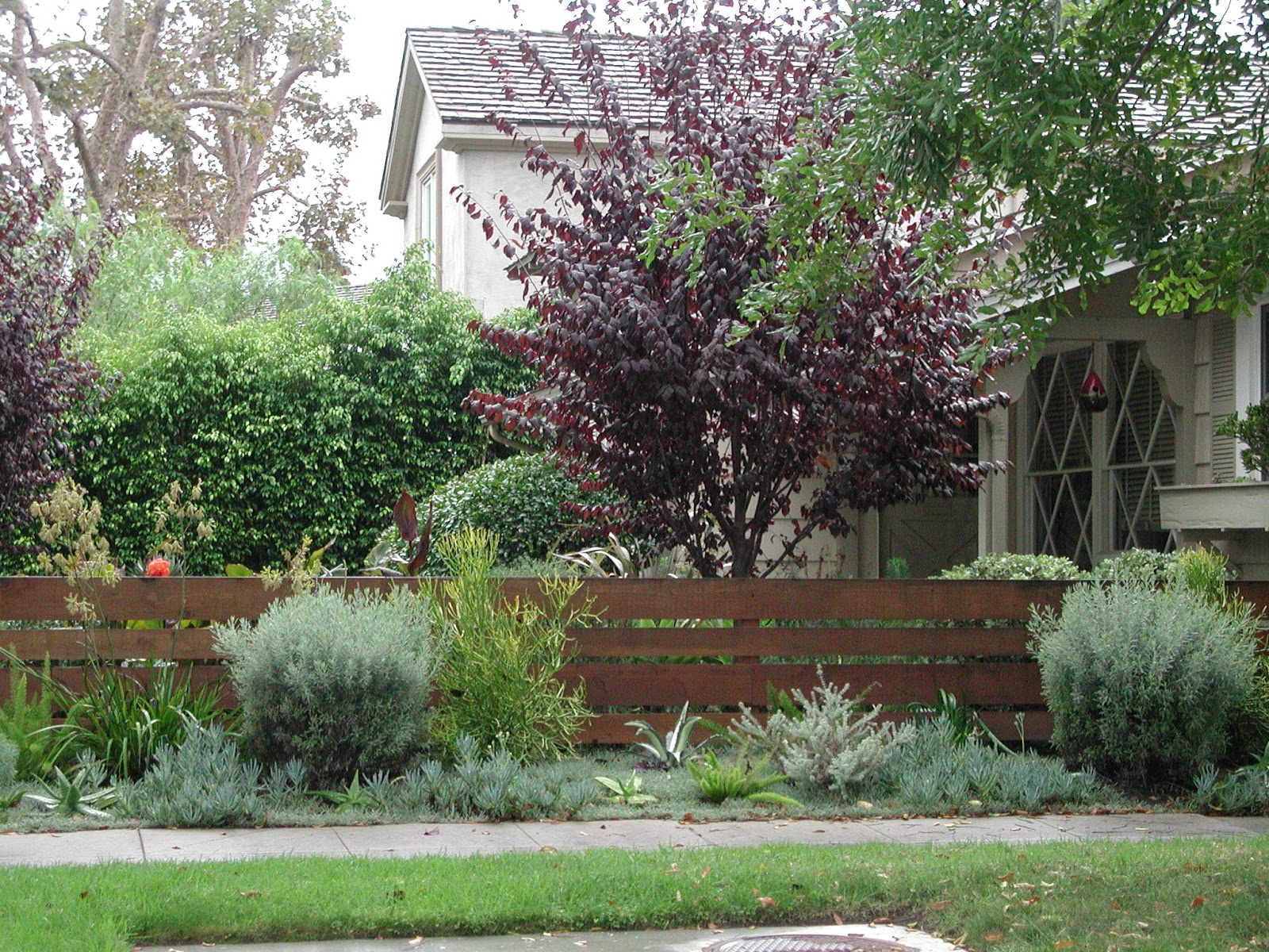 Fairy Yardmother Landscape Design: Front Yard -- Fences