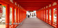 [広島] 一度は行きたい！宮島･厳島神社
