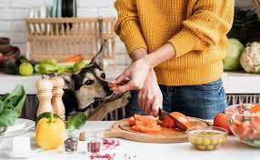 Monitor Your Pet's Diet