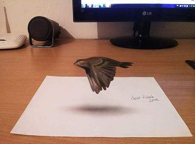 Gambar Burung 3d Pensil  Gambar Burung