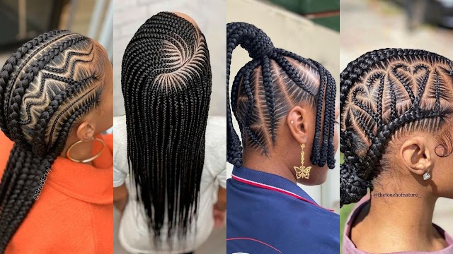 [GALLERY] 77+Braided Hairstyles 2024 Pictures 