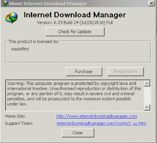 Internet Download Manager 6.25 Build 24 Plus Crack