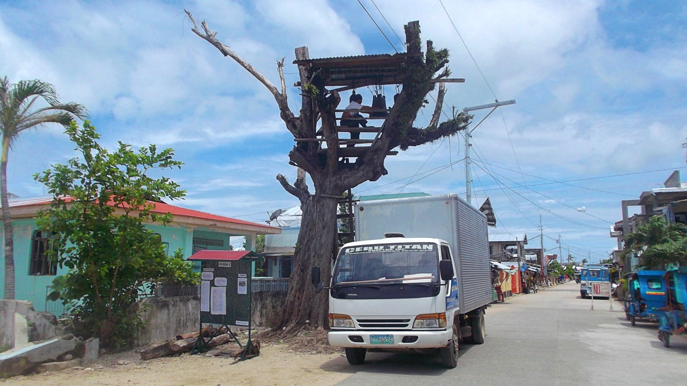 the "bell tree" across the road from St. Anthony of Padua Church in Sulangan, Guiuan Eastern Samar