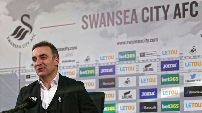 Os Swans de Carlos Carvalhal