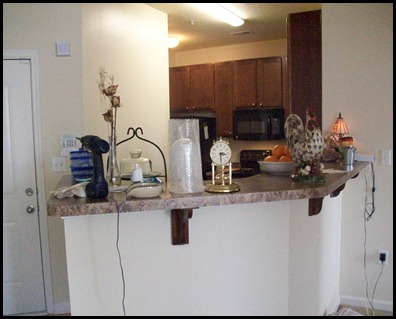 New Apt 006