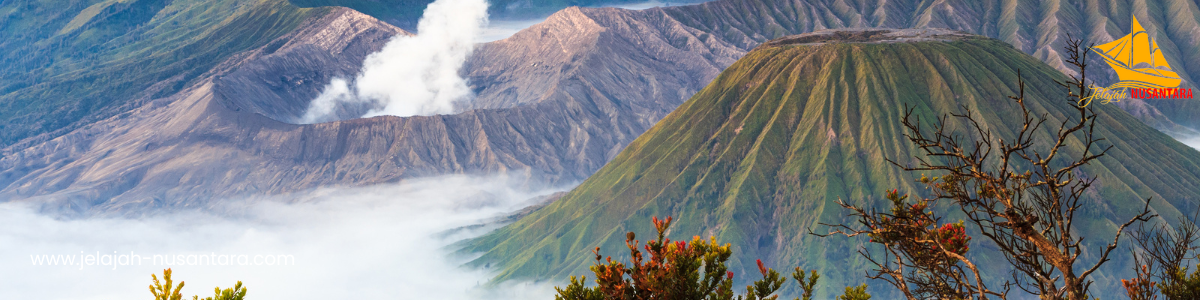 sewa jeep wisata gunung bromo