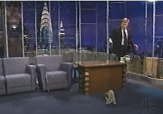Late Night with Conan O'Brien Fennec Fox