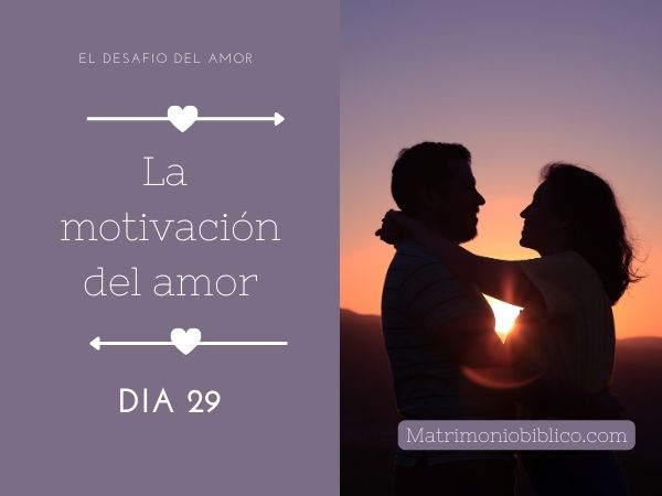 el-desafio-del-amor-día-29