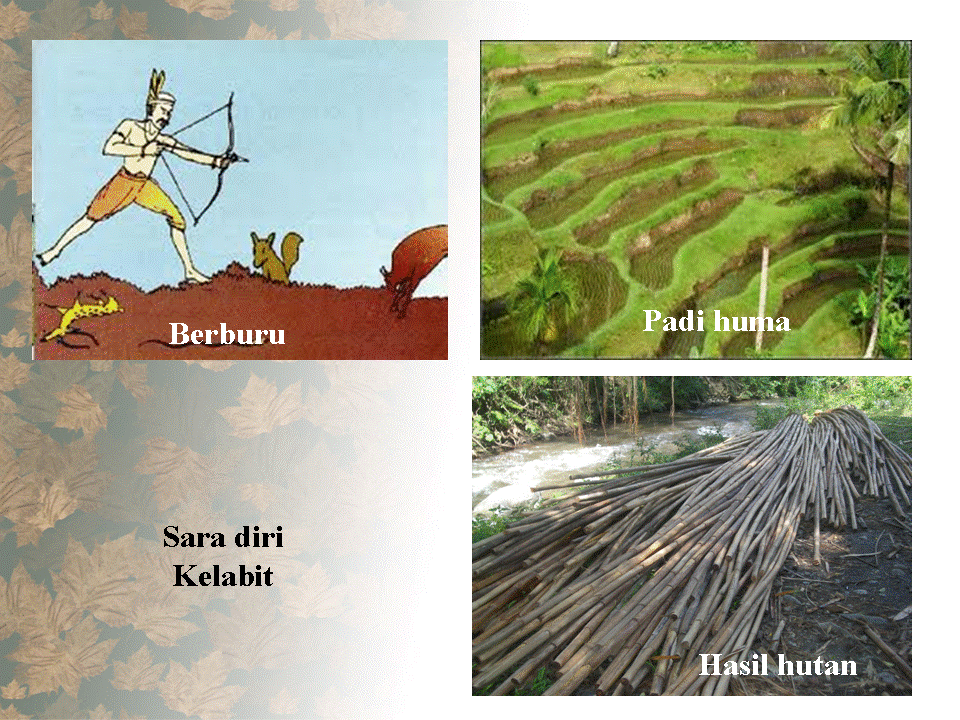 .sejarah tingkatan 1: Pertanian Sara Diri