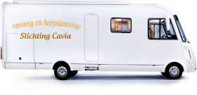 Vote for a new camper for Stichting Cavia