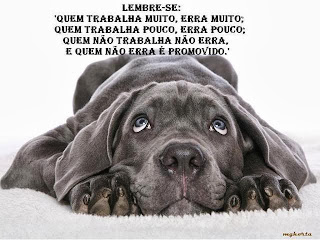  mensagens com animais 