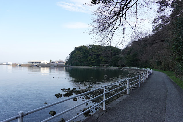 中海岸辺の遊歩道（彫刻ロード）からの眺望