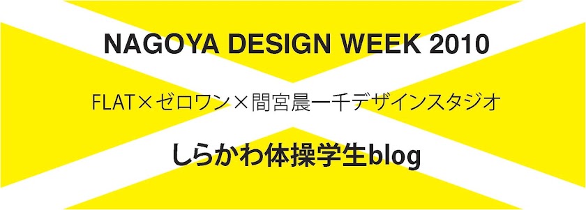 NDW2010しらかわ体操学生blog