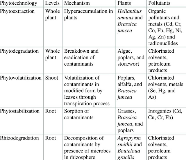 Various Phytotechnology Process