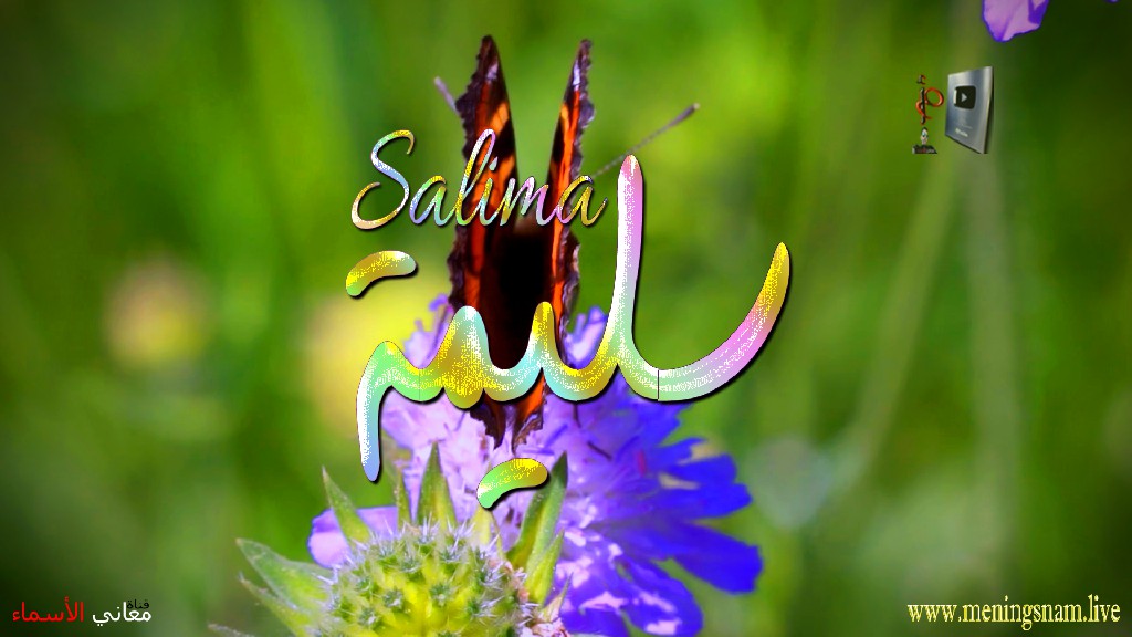 معنى اسم, سليمة, وصفات, حاملة, هذا الاسم, Salima,
