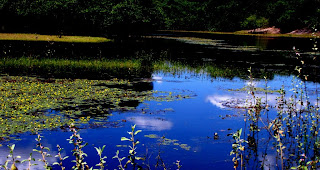 Pantanal Pesca esportiva Hotel Barra Mansa