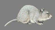 clip_image004
