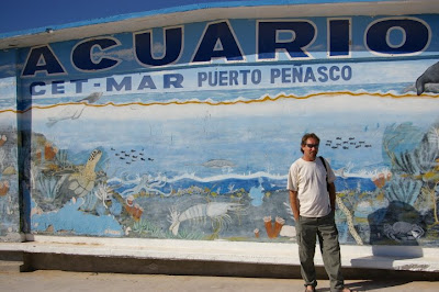 CET-MAR Aquarium in Puerto Penasco