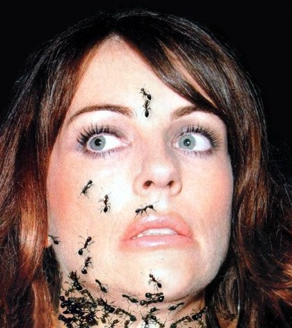face ants tattoos face ants tattoos Posted by tatua at 625 AM