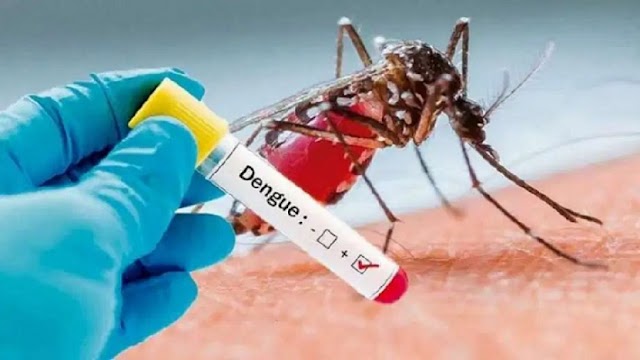 Se registraron 4 casos de dengue