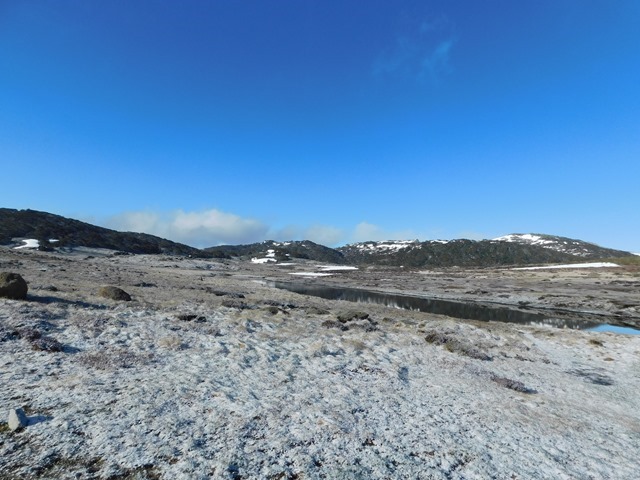 DSCN1259