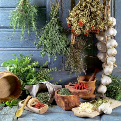 Fall Harvest