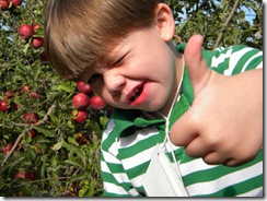 apples 071