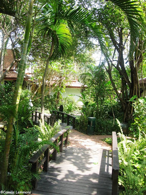 Poppies, Chaweng, Koh Samui, garden