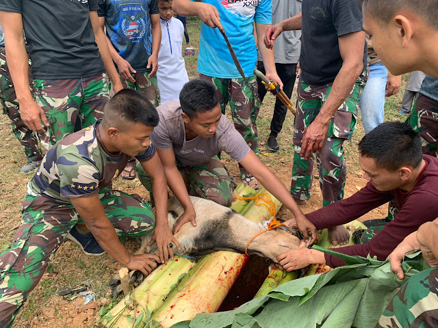 Berbagi Kebahagiaan Idul Adha, Yonif 141/AYJP Sembelih Hewan Qurban