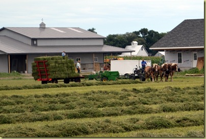 Amish Farming