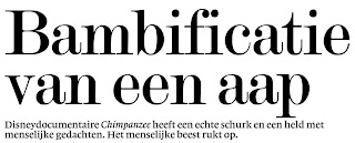 bambificatie