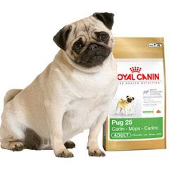 Say It Don T Spray It Royal Canin Pug 25