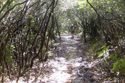 ruisseau sur le sentier Mare e Monti