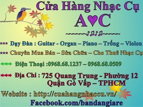 guitar binh tan 4 