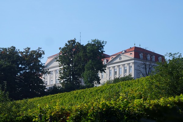 vienne weinwandertag randonnée vignes ottakring schloss château wilhelminenberg