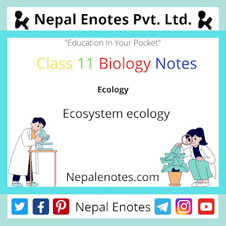 Class 11 Biology Ecosystem ecology Notes