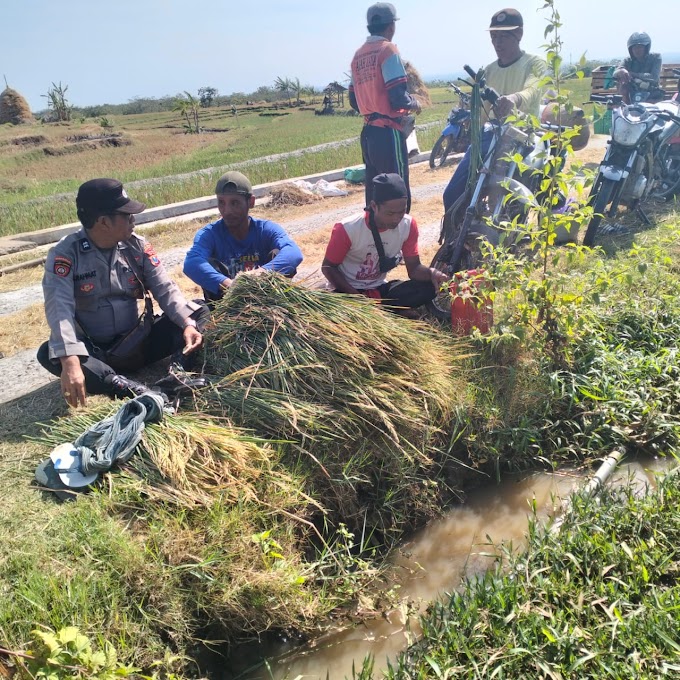 Polisi RW Patroli Dialogis dengan Petani Jaga Ketahanan Pangan di Ngawi