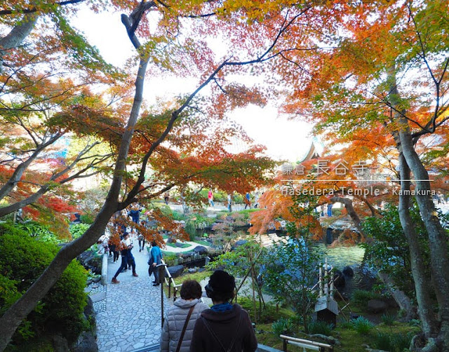 長谷寺 回遊式庭園の紅葉