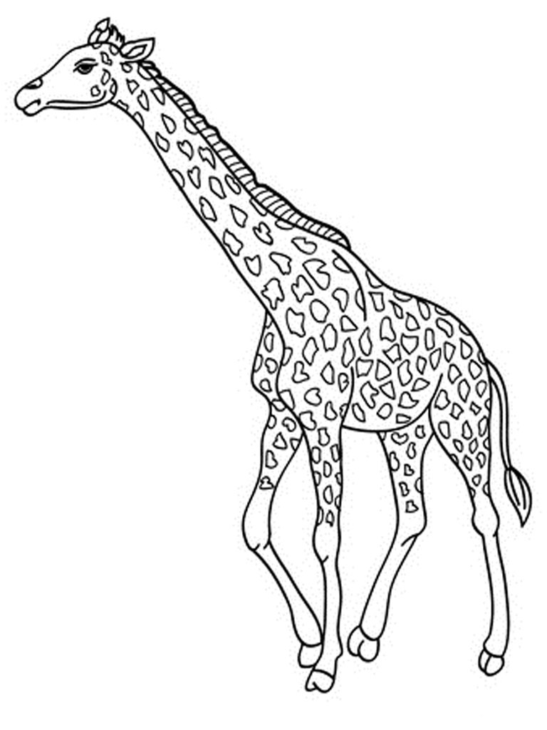Download Giraffe Coloring Pages Realistic | Realistic Coloring Pages