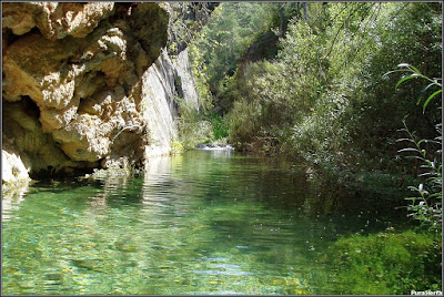 El Río Escabas remansado y encañonado