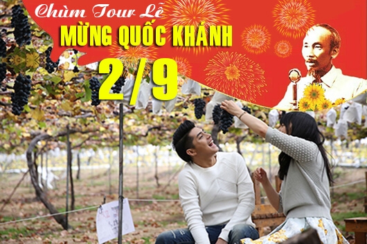 Du lịch Ninh Chữ Lễ Quốc Khánh 2/9: Khám Phá Vịnh Vĩnh Hy