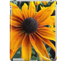 Rudbeckia ipad