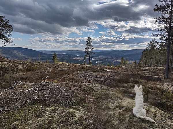 simarudkollen ådalen