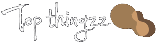 TopThingz -  Information - Technology - Fashion - TopThingz Hacks