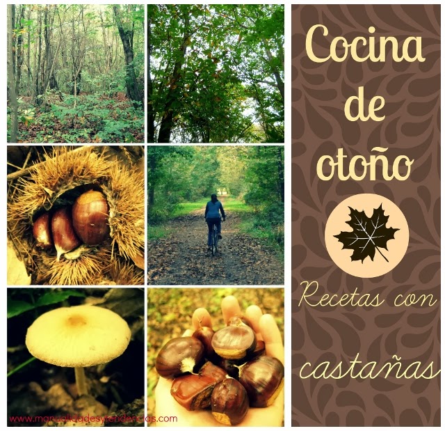 Cocina de otoño:recetas con castañas / Fall cuisine: chestnut recipes / Cuisine d'automne: recettes avec des châtaignes