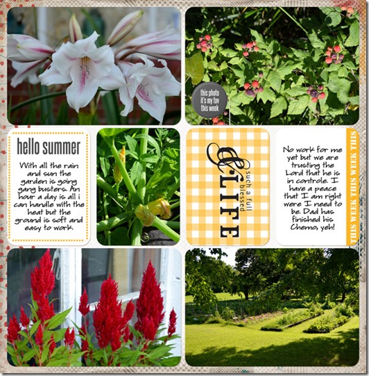Wk27-JUNE30-July6-p2