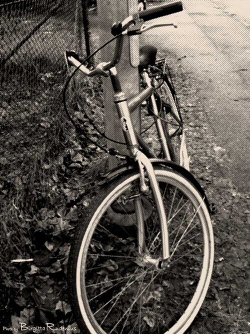 71_20110205_G9_cykel