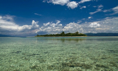 Maluku Tourism Pulau Pombo Pombo Island 