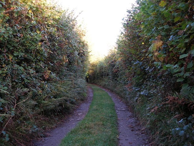 17th_october_2009