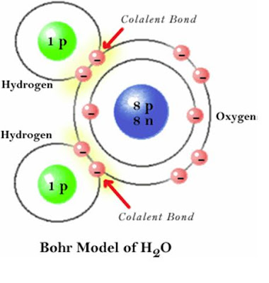 ~Share electrons forming strong covalent bonds. Characteristics of water